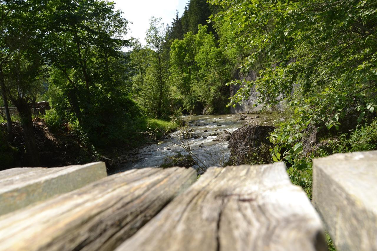 Gospodaria Lui Nea Ion Vama Buzăului Buitenkant foto