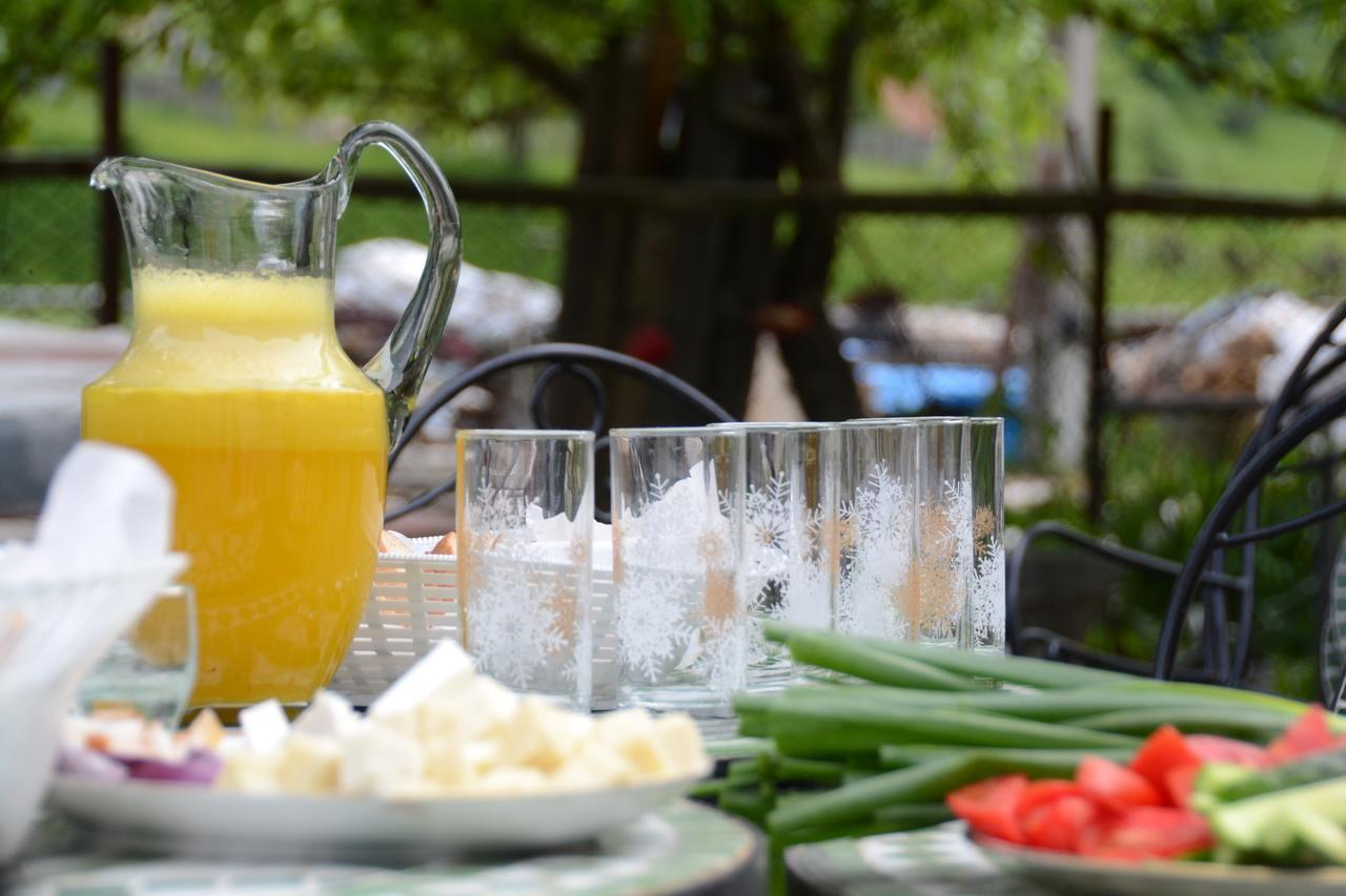Gospodaria Lui Nea Ion Vama Buzăului Buitenkant foto