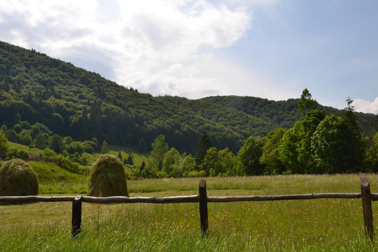 Gospodaria Lui Nea Ion Vama Buzăului Buitenkant foto