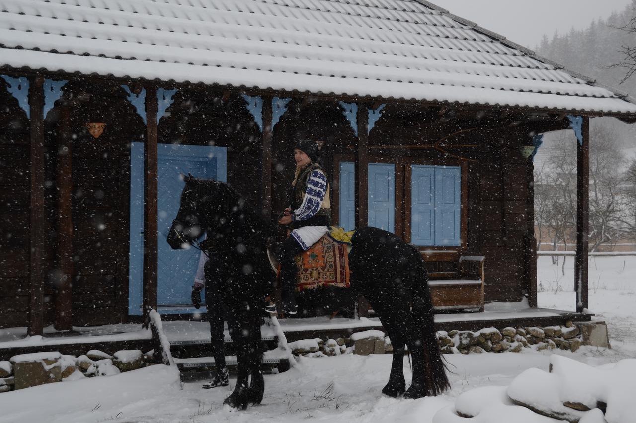 Gospodaria Lui Nea Ion Vama Buzăului Buitenkant foto