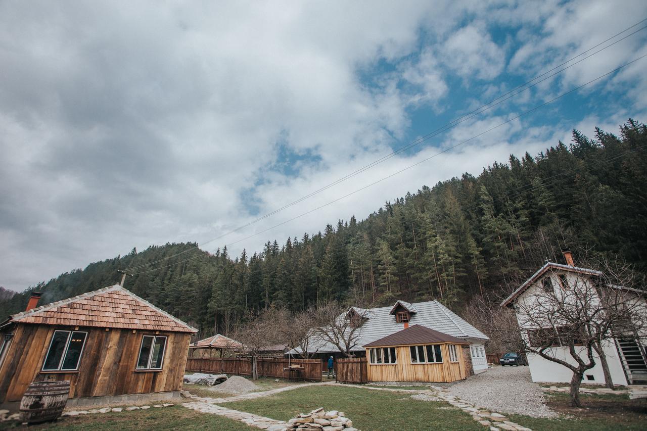 Gospodaria Lui Nea Ion Vama Buzăului Buitenkant foto