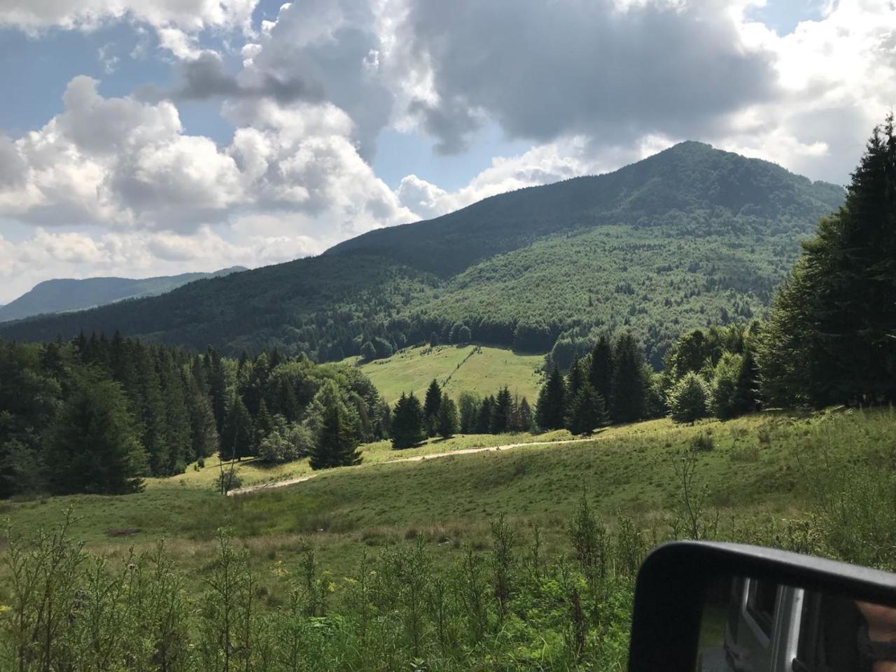 Gospodaria Lui Nea Ion Vama Buzăului Buitenkant foto