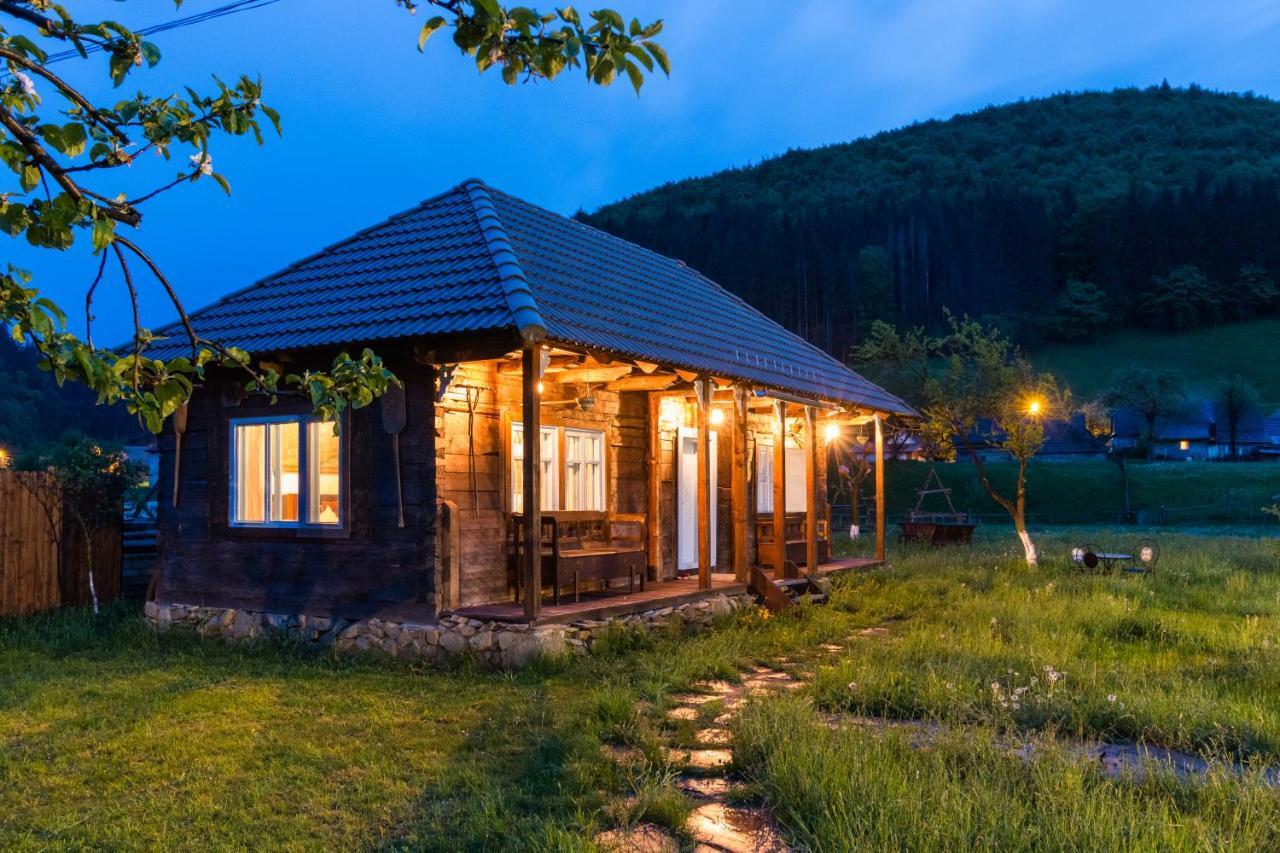 Gospodaria Lui Nea Ion Vama Buzăului Buitenkant foto